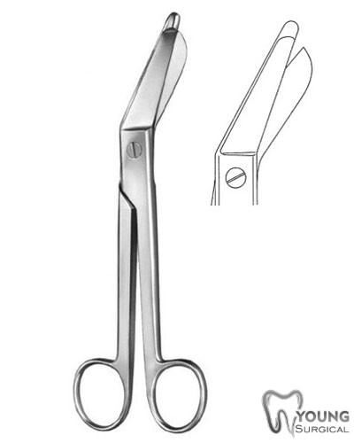 Plaster Shears