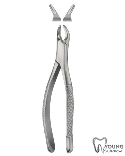 Tooth Forceps for Children, American Pattern