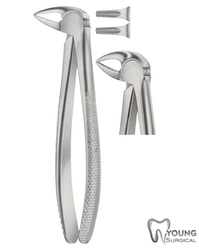 Tooth Forceps for Lower Roots Separating Forceps