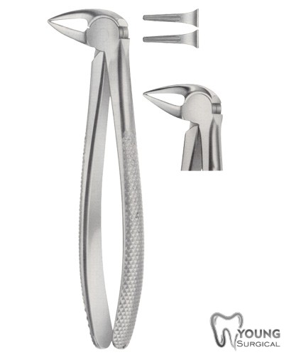 Tooth Forceps for Lower Roots Separating Forceps