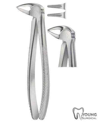 Tooth Forceps for Lower Roots Separating Forceps