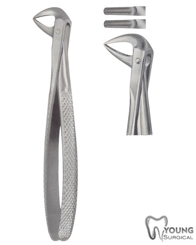 Tooth Forceps for Lower Roots