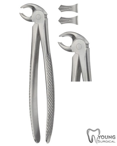 Tooth Forceps for Lower