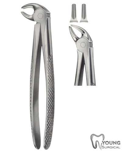 Tooth Forceps for Lower