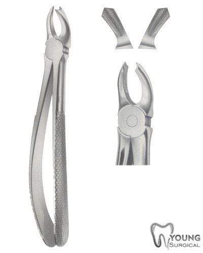 Tooth Forceps for upper Mullers