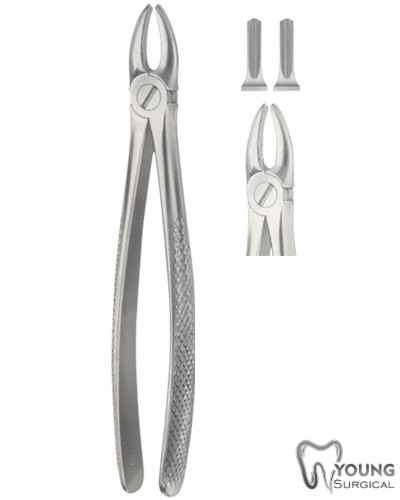 Tooth Forceps for upper incisor and Canines