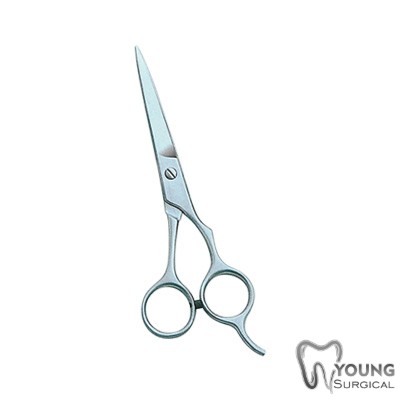 Barber and Dressing Scissors 1