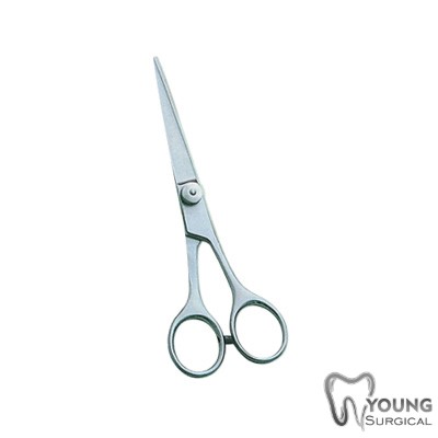 Barber and Dressing Scissors 1