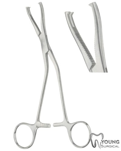 Bone Holding Forceps 1