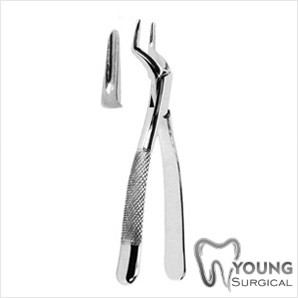 Dental Instruments Extracting Forceps Americen Pattern 18