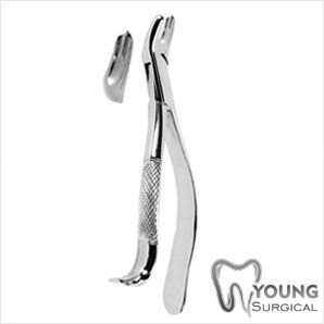 Dental Instruments Extracting Forceps Americen Pattern