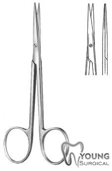 Dissecting Scissors 8