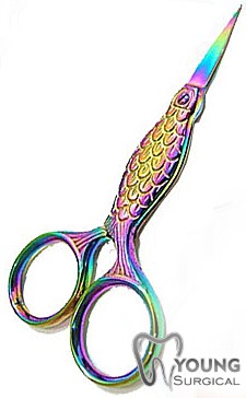 Fancy Scissors 12