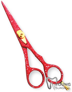 Hair cutting Scissors 1