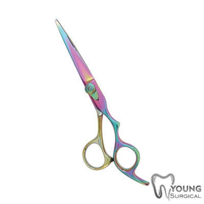 Hair cutting Scissors 2