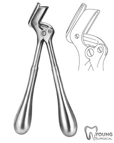 Plaster Shears 10