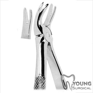 Tooth Extracting Forceps 11