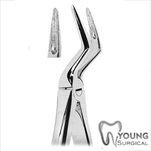 Tooth Extracting Forceps 12