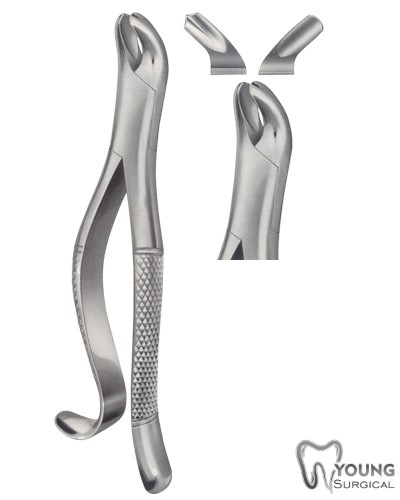 Tooth Forceps, American Pattern for upper Molars