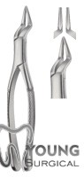 Tooth Forceps, American Pattern for upper roots & Bicuspids