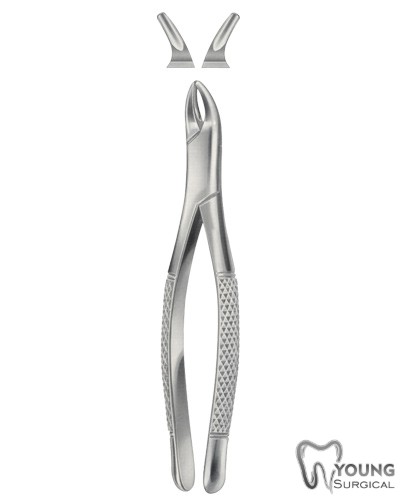 Tooth Forceps for Children, American Pattern 10