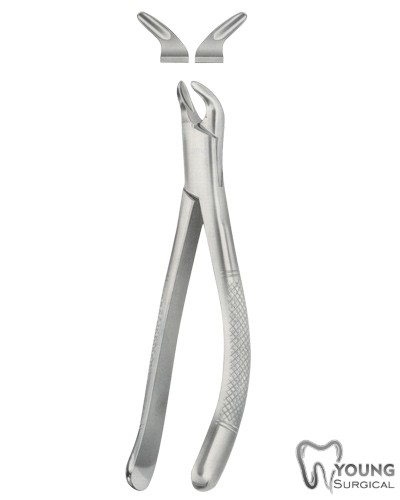 Tooth Forceps for Children, American Pattern 3