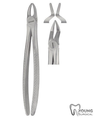 Tooth Forceps for Children 13