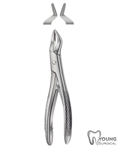 Tooth Forceps for Children 3