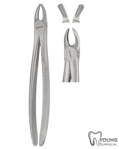 Tooth Forceps for Children 5