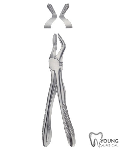 Tooth Forceps for Children 5