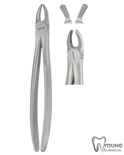 Tooth Forceps for Children 6