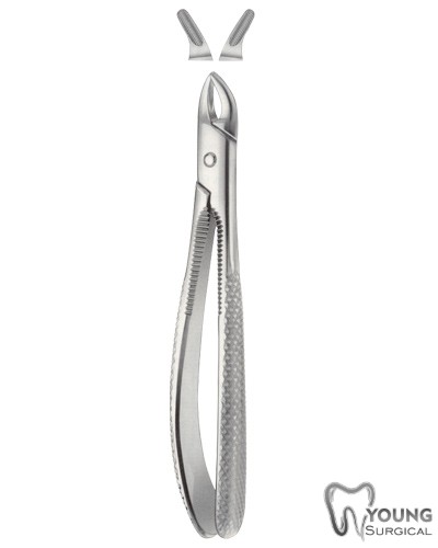 Tooth Forceps for Children 8