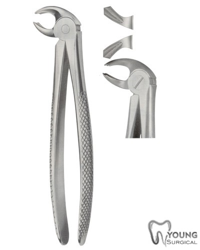 Tooth Forceps for Lower 13