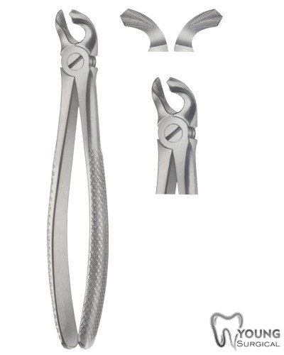 Tooth Forceps for Lower Molars & wisdom Teeth 18