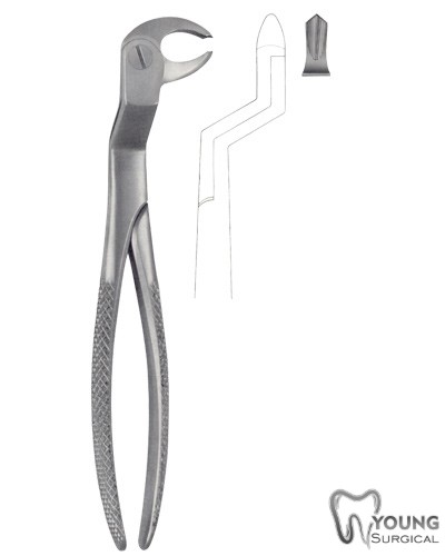 Tooth Forceps for Lower Molars & wisdom Teeth