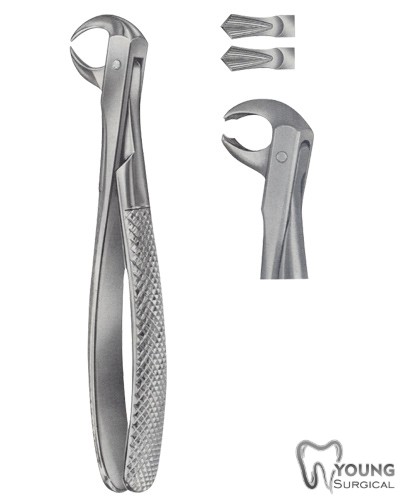 Tooth Forceps for Lower Molars