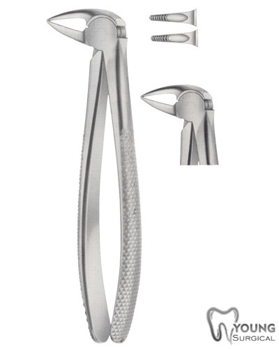 Tooth Forceps for Lower Roots Separating Forceps 11