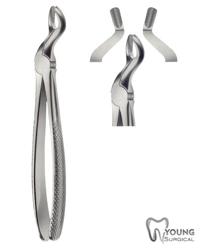 Tooth Forceps for upper Wisdom Teeth