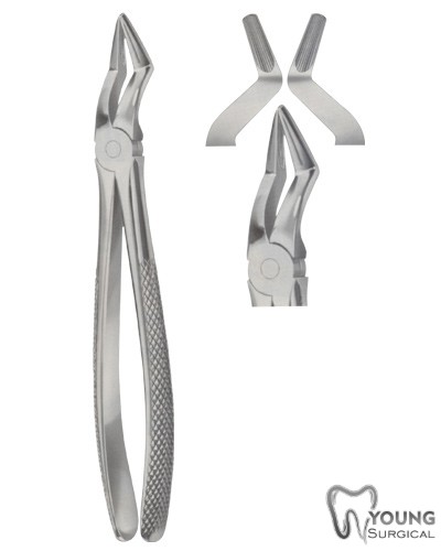 Tooth Forceps for upper roots Separating Forceps