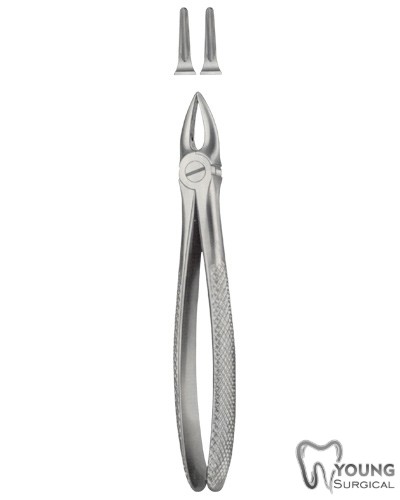 Tooth Forceps for upper roots